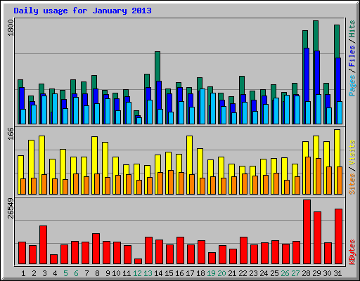 Daily usage for January 2013