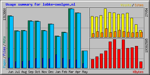 Usage summary for lobke-swolgen.nl