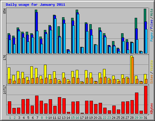 Daily usage for January 2011