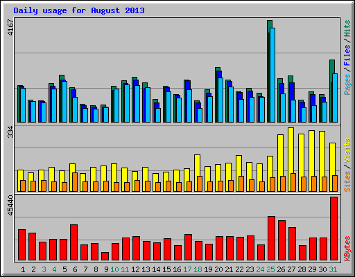 Daily usage for August 2013