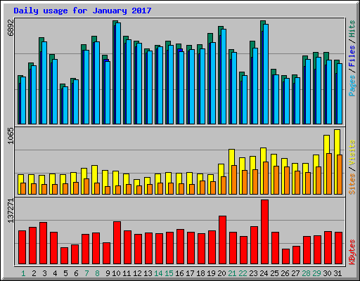 Daily usage for January 2017