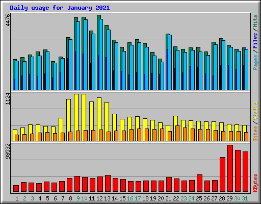 Daily usage for January 2021