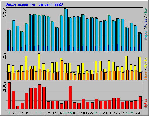 Daily usage for January 2023