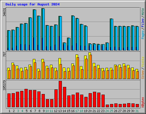 Daily usage for August 2024