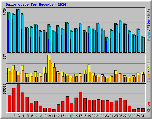 Daily usage for December 2024