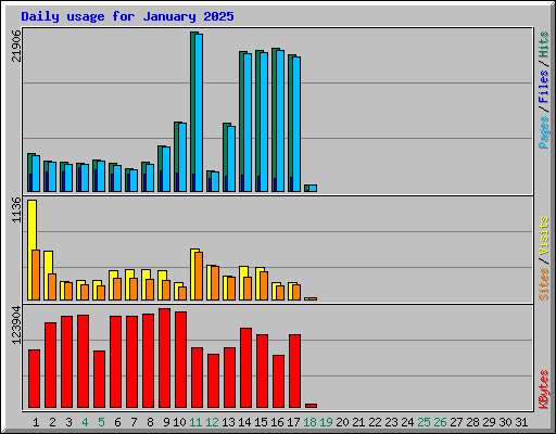 Daily usage for January 2025