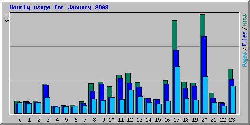 Hourly usage for January 2009