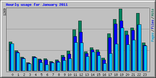 Hourly usage for January 2011