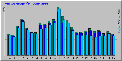 Hourly usage for June 2016