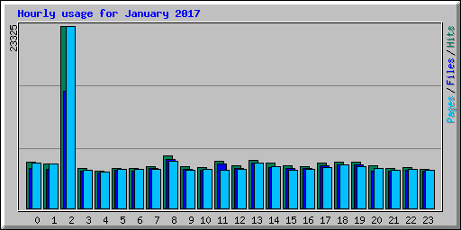 Hourly usage for January 2017