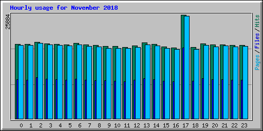 Hourly usage for November 2018