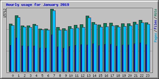 Hourly usage for January 2019