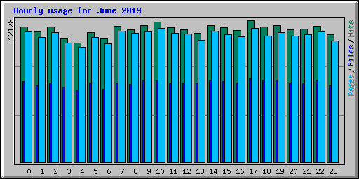 Hourly usage for June 2019