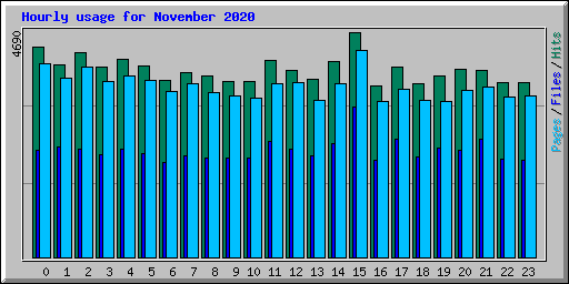 Hourly usage for November 2020