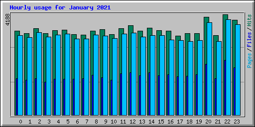 Hourly usage for January 2021