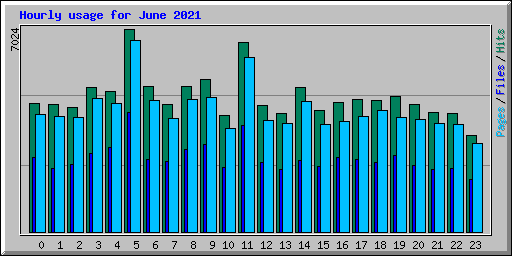 Hourly usage for June 2021