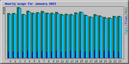 Hourly usage for January 2023