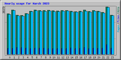 Hourly usage for March 2023