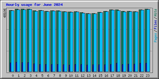 Hourly usage for June 2024