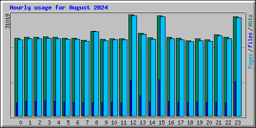 Hourly usage for August 2024