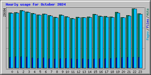 Hourly usage for October 2024