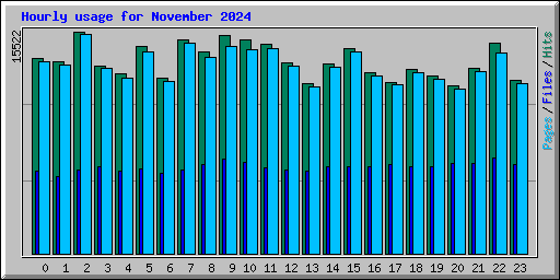 Hourly usage for November 2024