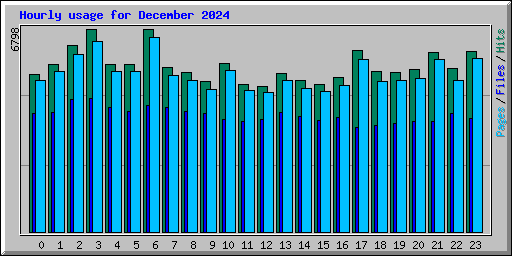 Hourly usage for December 2024