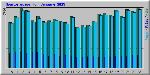 Hourly usage for January 2025